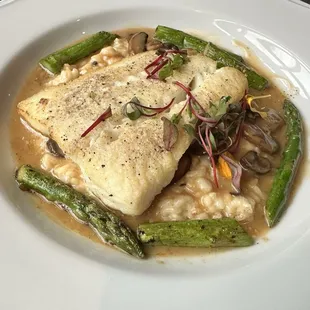 Halibut