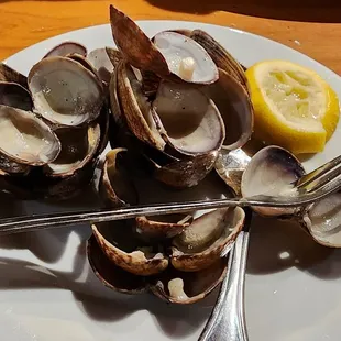 Lots of clams but unfortunately just lacked flavor.
