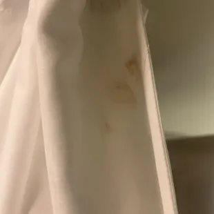 Dyr Blood on the shower curtain