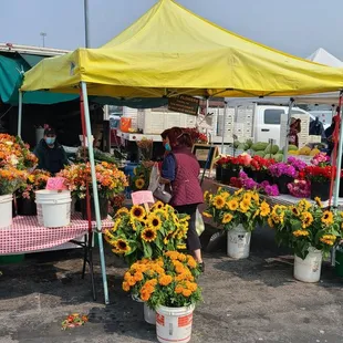 As a year round residential park, we offer safe RV Parking for long-term or short-term stays with full hookups.