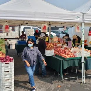 Residents of Treasure Island Mobile Home &amp; RV Park can apply for premium high speed internet at an unbeatable rate...