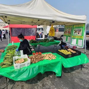 Located just a BART Train ride away from downtown San Francisco, our park offers exceptional amenities and a tranquil setting...