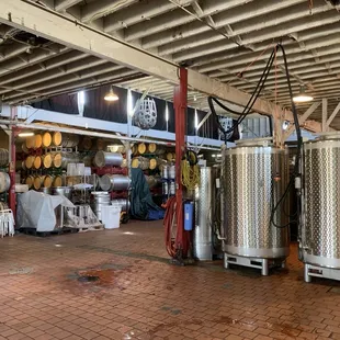 Treasure Island Wines