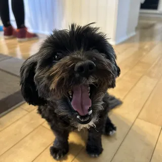 Beau E.