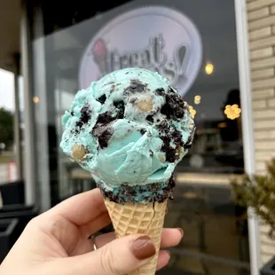 Kooky monster Ice Cream