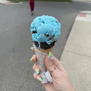 Cookie Monster