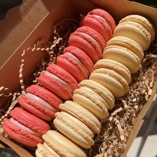 Macarons (red velvet + mango)