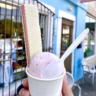 Fresas Con Crema Ice Cream