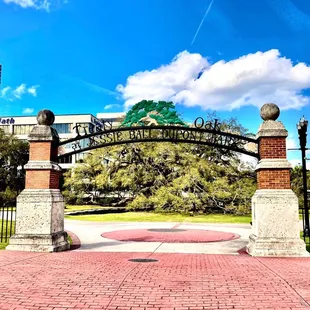 Treaty Oak Park -- late Feb 2023