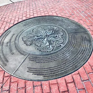 Treaty Oak Park -- late Feb 2023