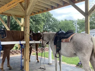 Saddle Creek Stables