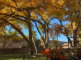 American Tree Services