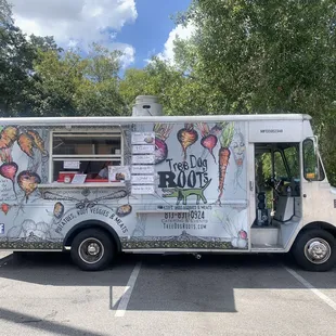 Tree Dog Roots Food Truck, Seminole Heights, Tampa