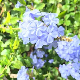 Enjoying the beauty