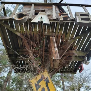 The tree house out front.