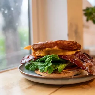 blta.