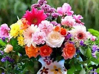 Professional Landscaping Services