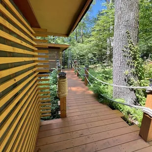 Pathway to treehouses