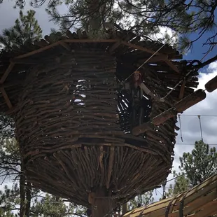 My older one in the treehouse