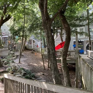 red umbrellas in the trees