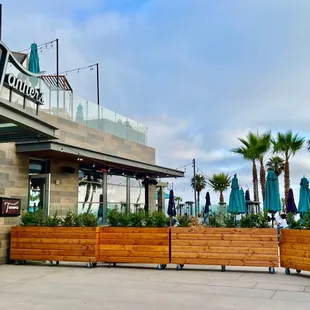 Tree house on the roof top, part of the huge restaurant Tanners.