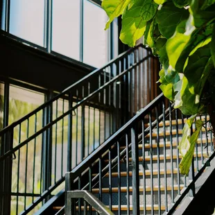 Located on Pasea's Second Floor