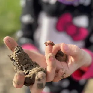 Our 6 year year old loves digging for worms and collecting things like rocks, pinecones &amp; dandelions!