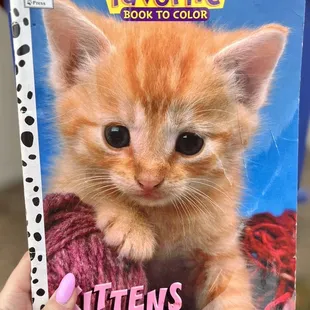 From their Little Free Library, our 6 year old picked out a Kitten Coloring Book! =^.^=