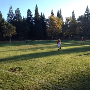 Soccer fields
