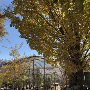 Beautiful place. It's nice to come just to hang out here!