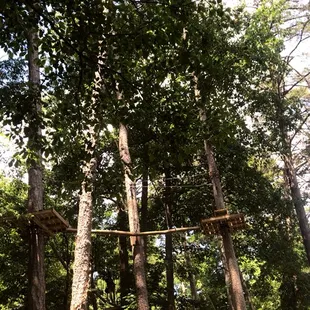Come out and explore new heights at Treetop Adventures on Lake Hickory!