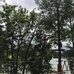 Conquer new heights today!