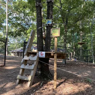 The start of level 3 - an all zipline course