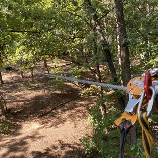 Zipline on level 4