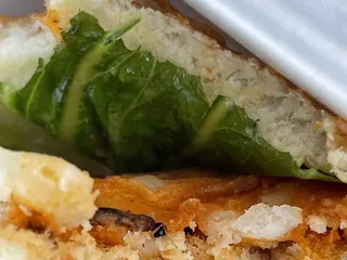 Boston House of Pizza