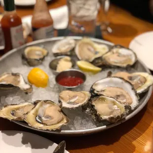 Oysters on the half shell