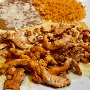 a plate of mexican food