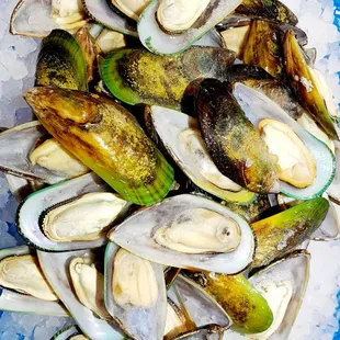 a plate of mussels and clams
