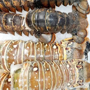 a variety of lobsters