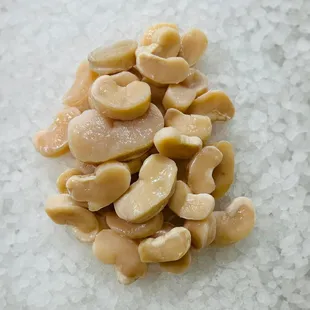 Half moon scallop callo de hacha media luna