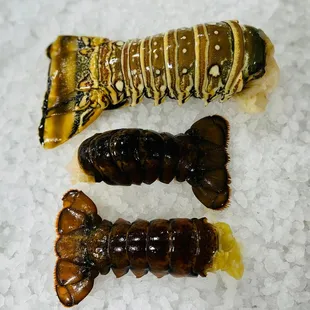 Lobster tail