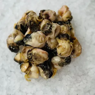 Conch meat