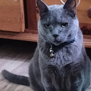 Rico E.