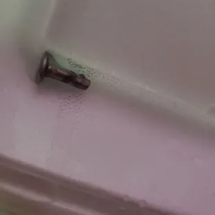 Steak taco with complimentary piece of mystery metal.