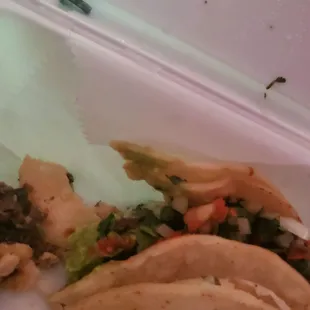 Steak taco with complimentary piece of mystery metal.