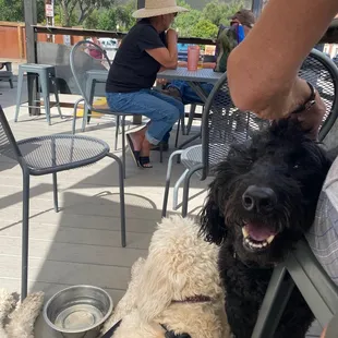 Dog friendly patio.