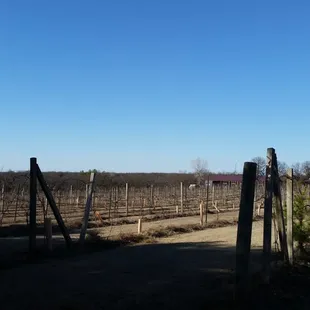 a dirt road and fenced in area