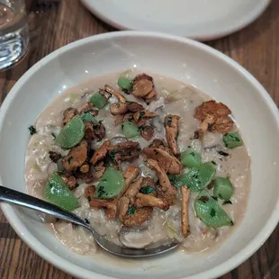 Mushroom Risotto