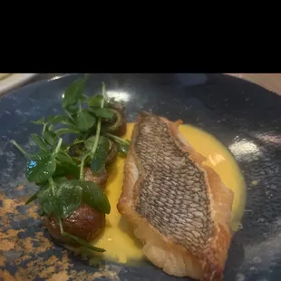 Sea Bass