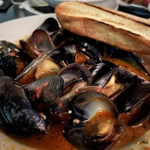 Chilled New Zealand Mussels
